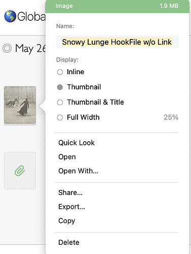 In Agenda 1.9MB of Db space opens to preview