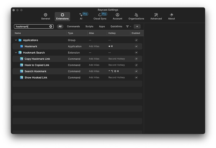 Raycast Settings