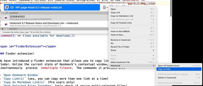 Hookmark 5.1 - copy as path - Screen Shot 2023-04-28 at 14.17.59